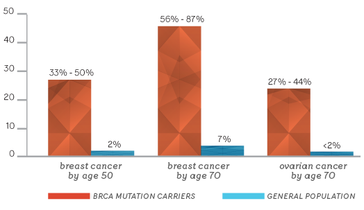 BRCA mutation increase cancer risk