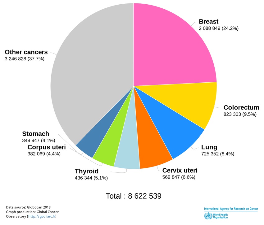 Worldwide, 2018 estimated incidence rates of most frequent cancers in women (source IARC)