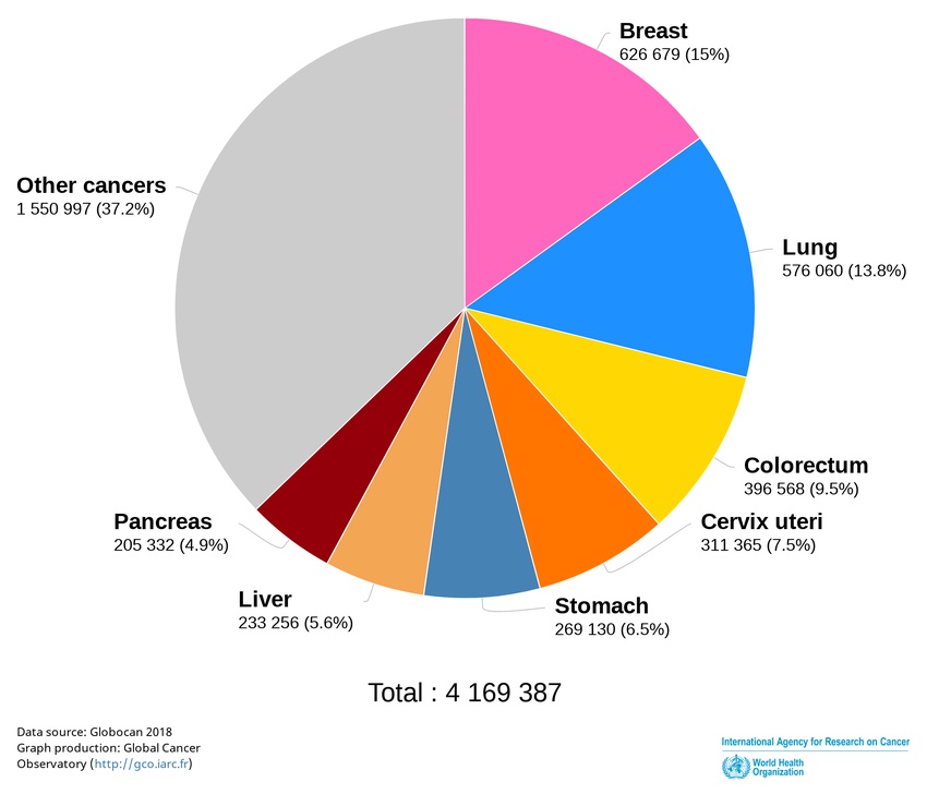 Worldwide, 2018 estimated mortality rates of most frequent cancers in women (source IARC)